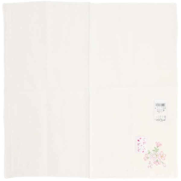 [}C]F K[[nJ` hJyFz/u[~OiBLOOMINGj zCg