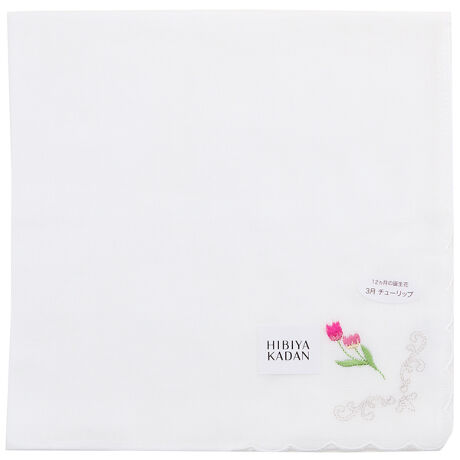 [^:0001890010]12 NX}X[YaԂ炵C[Wŕ\GKgȃK[[nJ`[tBK[[ɒaԂ̎hJ{GKgȃnJ`[tłB[qrJ_]XɋG߂̍ʂYt[VbvuJԒdvɂA͓IȋG߂̉ԁXnJ`[tŕ\RNVłB