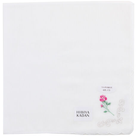 [^:0001890010]12 NX}X[YaԂ炵C[Wŕ\GKgȃK[[nJ`[tBK[[ɒaԂ̎hJ{GKgȃnJ`[tłB[qrJ_]XɋG߂̍ʂYt[VbvuJԒdvɂA͓IȋG߂̉ԁXnJ`[tŕ\RNVłB