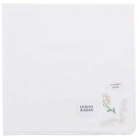 [^:0001890010]12 NX}X[YaԂ炵C[Wŕ\GKgȃK[[nJ`[tBK[[ɒaԂ̎hJ{GKgȃnJ`[tłB[qrJ_]XɋG߂̍ʂYt[VbvuJԒdvɂA͓IȋG߂̉ԁXnJ`[tŕ\RNVłB