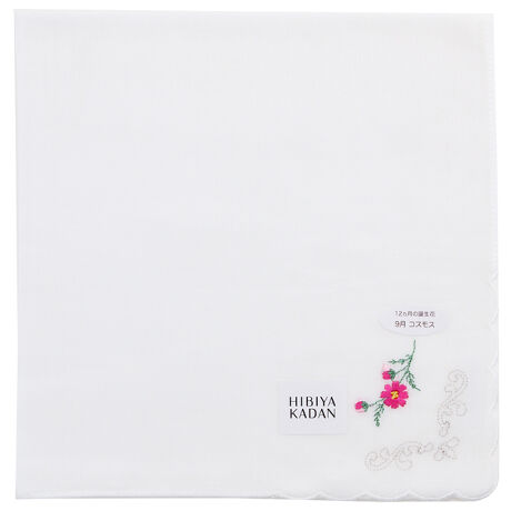 [^:0001890010]12 NX}X[YaԂ炵C[Wŕ\GKgȃK[[nJ`[tBK[[ɒaԂ̎hJ{GKgȃnJ`[tłB[qrJ_]XɋG߂̍ʂYt[VbvuJԒdvɂA͓IȋG߂̉ԁXnJ`[tŕ\RNVłB