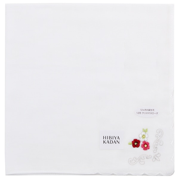 [}C]qrJ_ K[[nJ` NX}X[Y yJԒd HIBIYA-KADANz/u[~OiBLOOMINGj C