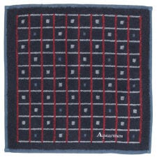 アクアスキュータム(AQUASCUTUM)のアクアスキュータム　メンズ　タオルハンカチ　格子柄　【Aquascutum】