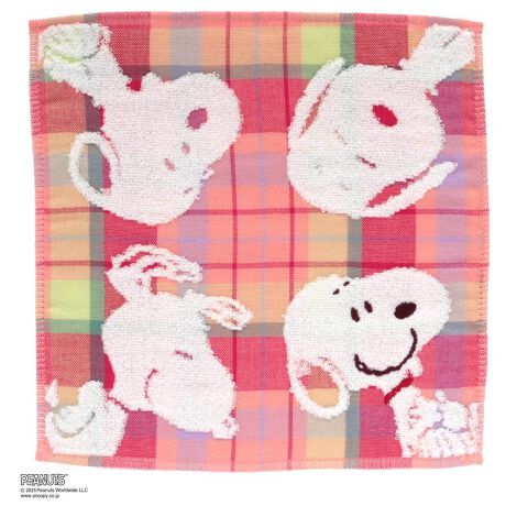 [^:0001930047]`FbNK[[fނŐD肠₩ȃ^InJ`łBXk[s[̓pCŕ\Ă邽߁Aʊ̂ꖇɎdオĂ܂BpCWJ[h^CvƁApCK[[^Cṽ^IłB[PEANUTS(s[ibc)]AJ̖ƁA`[YEMEVc1950N珑n߂R~bNus[ibcvɓoꂷr[ÕXk[s[BE炢܂ȂꑱĂXk[s[̃NNyE͂܂B