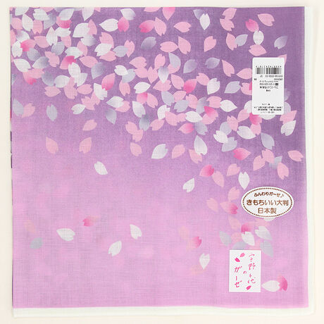 [^:0001980008]vg̑唻1dK[[łBOf[VYȃnJ`Ȃ̂ōLĕGɂɊA񂾂prLnJ`[tłB[F]uɂƂĂ͍͍K̉ԁvƁADF搶B܂܂ȃACeɍfUCA𒴂ĈĂ܂B