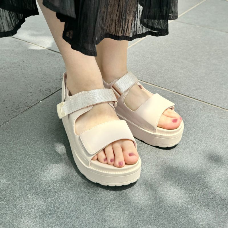 [�}���C]�_�u���x���g�x���N������T���_��/41238/�I���G���^���g���t�B�b�N�iORiental TRaffic�j �x�[�W��