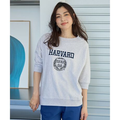 [^ԁFKKFXGM0403]JbWShJ|CǵA6XEFbgfUCEOʂɓJbWShJ|CgŃJWAȈۂɁE6Ŏ񂪌肵ۂɁEI[o[TCYłƒȂA݌̓gh̃{[glbNŏ炵UPETChɂ̓ufނgpAẽCYɌ邨̂1EShJNLbviiԁFHTZ2GM0402jAobOiiԁFBOZ2GM0401j̓WJf E100̃~jёfނgpEׂ̍ȃ[vSn悭AɂKɒp\EKxȌ݂邽߃{fBCEɂAɂ̂|CgEł̐@􂢂\Ȃ̂X^COELCڂ̃XbNXXJ[g킹̊O~bNXR[fggoĂ߁摜̓TvgpĂׁAۂɂ͂鏤iƎdlAHATCY኱قȂꍇ܂B\߂Bf摜͎Be̓sAۂ̏iƐFقȂČꍇ܂BF͏i摜QƂB舵Ɋւ܂ẮAiɕt̃AeV^OBTCg̃J[ƁA͂iɋLڂĂJ[قȂꍇ܂BYɂFEfށETCYȂǑقȂꍇ܂B\߂ByyŒ߂ɁzîCɓo^n[g}[NNbNADȃJ[IłCɓɓo^IJ[̍ēגʒmAXg1_̒ʒmAZ[̒ʒm󂯎邱Ƃł܂BuĥCɓo^ViēדAuĥȏ󂯎邱Ƃł܂B̃Ly[ɂAԒɉiϓꍇ܂BZ[͗\ȂIĂꍇ܂B