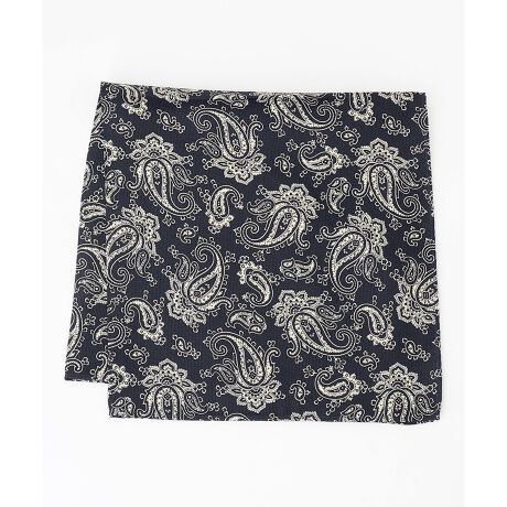 [^ԁFCF1LGM0201]VN100%̃yCY[`[tBiȕ͋CŃrWlXV[łgp܂BƖ̊֌WɂAۂ▾邭ꍇ܂B܂p\RȂǂ̊ɂA኱iƉ摜̃J[قȂꍇ܂B\߂܂B