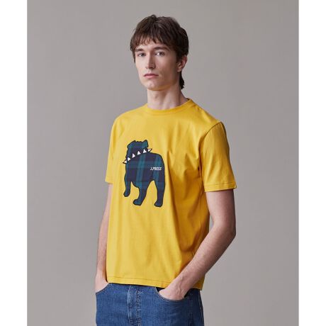 [^ԁFKHOVGA0506]ʁEN킸lCIۓIȃtg̃obNuIŖ͓IȃX^CoIND]̃t@ubNbyTVc25Nf́A`FbNƃJ[VɁIfރAJ̃RbguhTƂ̐ngpB̒悢ŁACɂȂ炸A\tgȔG肪͂łBVGbgJ.PRESS ̃M[tBbgŔėp̍TCYłBdlJ.PRESS̃ACRƂuhbǑpAJ̃Be[WŌlȃt@ubNgpz̐nŃS͂AU~VŎDt@ŕ\Ă܂BR[fBl[gꖇł͂AWPbgVcȂǉHDACẽCi[ƂĂfꖇłBfUCi[Rgďɂ҂Ȑ̂Vfނ𐥔񂨊y݉Bf摜̏i̓TvłBۂ̏iƐFAdlAHATCYAfޓ኱قȂꍇ܂BƖ̊֌WɂAۂ▾邭ꍇ܂B܂p\RȂǂ̊ɂA኱iƉ摜̃J[قȂꍇ܂B\߂܂Bnْ̍fӏɂA͂鏤i͌fډ摜̂̂ƈقȂꍇ܂B