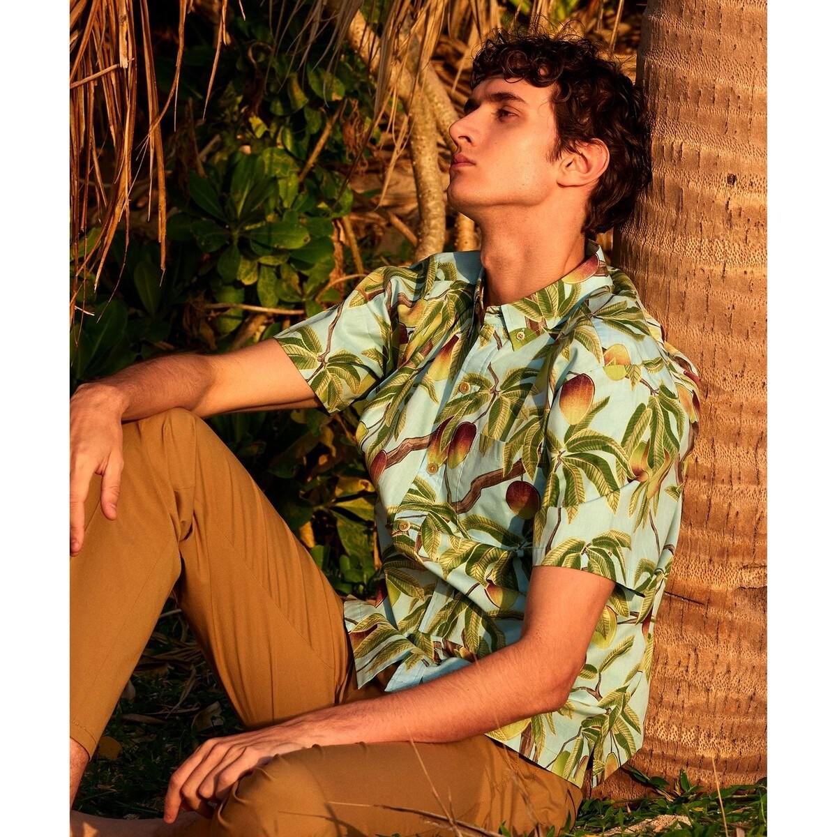 Aloha Blossom／アロハ ブロッサム／KUBA | ガーデン(GARDEN