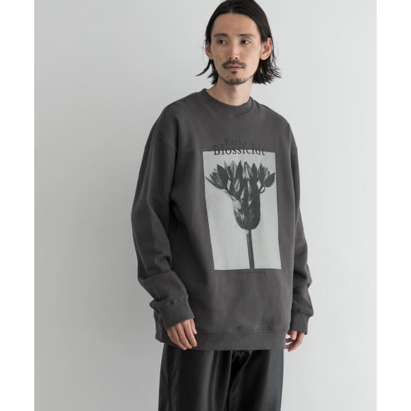 Karl Blossfeldt SWEAT | アーバンリサーチ(URBAN RESEARCH) | UR02