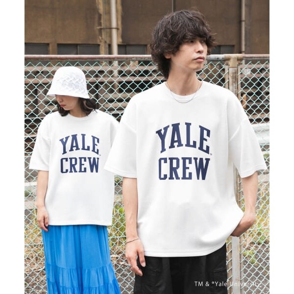 別注』『ユニセックス』YALE×SENSE OF PLACE カレッジロゴT