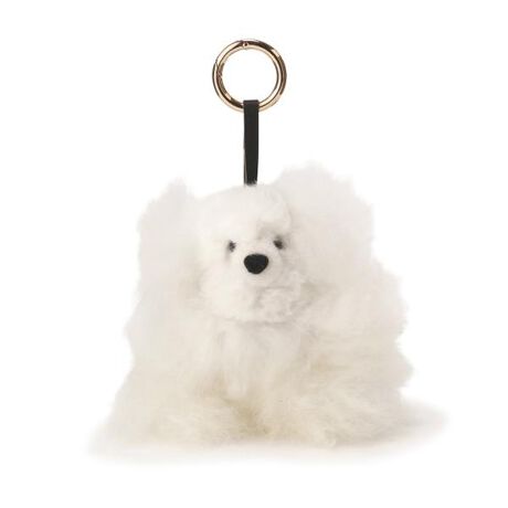 [^ԁF1215284900]ӂӂƂxA`[t炵`[BJirtȂ̂ŊȒPɑł܂BobO`[ƂĂ߂łBf̒p摜̏ꍇA̓ɂAۂ̐FƈقȂČ邱Ƃ܂BF́AiP̂̉摜QƂB