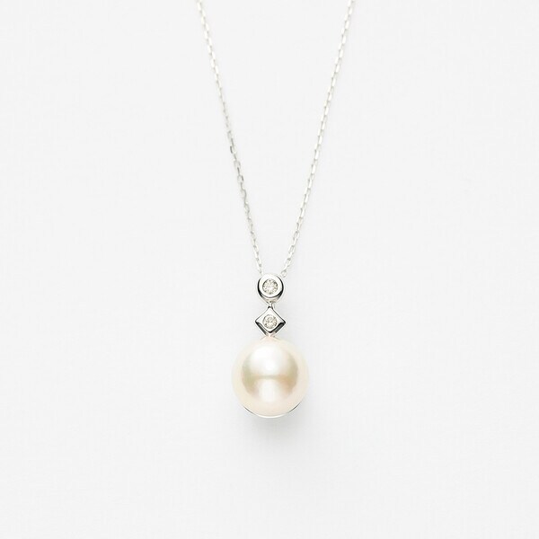 [}C]6a K10 zCgS[h ^ lbNX/GXe[iESTELLEj zCgS[h