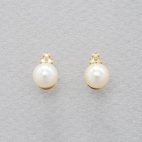 [^ԁF0242-0534-0019]yAKOYA PEARLz^CG[S[hŕݍ݁AǂNVJȕ͋C̃sAXBtH[}ȈۂcAJWAȃX^Cɂ킹₷fUCłB݂̂_炩ȃeNX`[̃p[WG[Ɛg߂ȑ݂ɁBǂȃV[ł􂵂ĂDGȃACełBp[̐Όt́uNvuvBzꂽÃp[ƌĂ܂ByATTENTIONzgp͏_炩ȕzŉ@ĂۊǂĂBp[͓VRfނ̂߁ATCYEFËႢ኱̃LYiځj̗LȂǌ̍܂\߂BM⎇OAx̉eɂϐFώ̋ꂪ܂B܂A͂ƕsǂ̌ƂȂ܂̂ŁA舵ɂ͂ӂBiBAEGB4318GƓꏤiłBBLOOM }CEFu`lXł́Auhɂ炸ABLOOMS{bNXɂꂵĂ肢܂BESTELLESBOXւ̕ύX͒v˂܂B\߂B