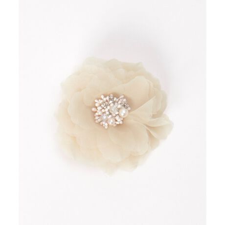 [^ԁF12811339]Zj[X[cɎ؂₩ȃRT[WBAAwAƎȂǂ̊wZs͂AȂǂ̂Ă΂ɂg܂Byfށz|GXeEKXEANByfUCzt`̃VvȃRT[WByikka|Cgz}U[j[Yɍ킹AIɂ肰Ȃp[{RT[WłBtH[}ɂg