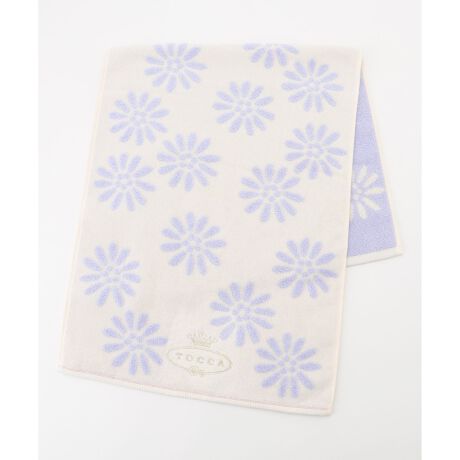 [^ԁFTWTWGM0220]fCW[TOCCA炵tFCX^IłBiȐF3FWJBTOCCÃS̎hJĂ܂BMtgɂ߂łB