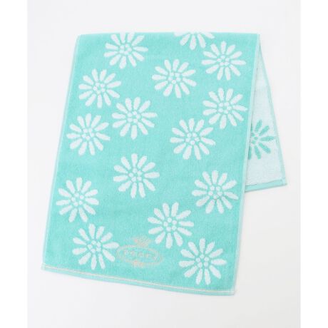 [^ԁFTWTWGM0220]fCW[TOCCA炵tFCX^IłBiȐF3FWJBTOCCÃS̎hJĂ܂BMtgɂ߂łB