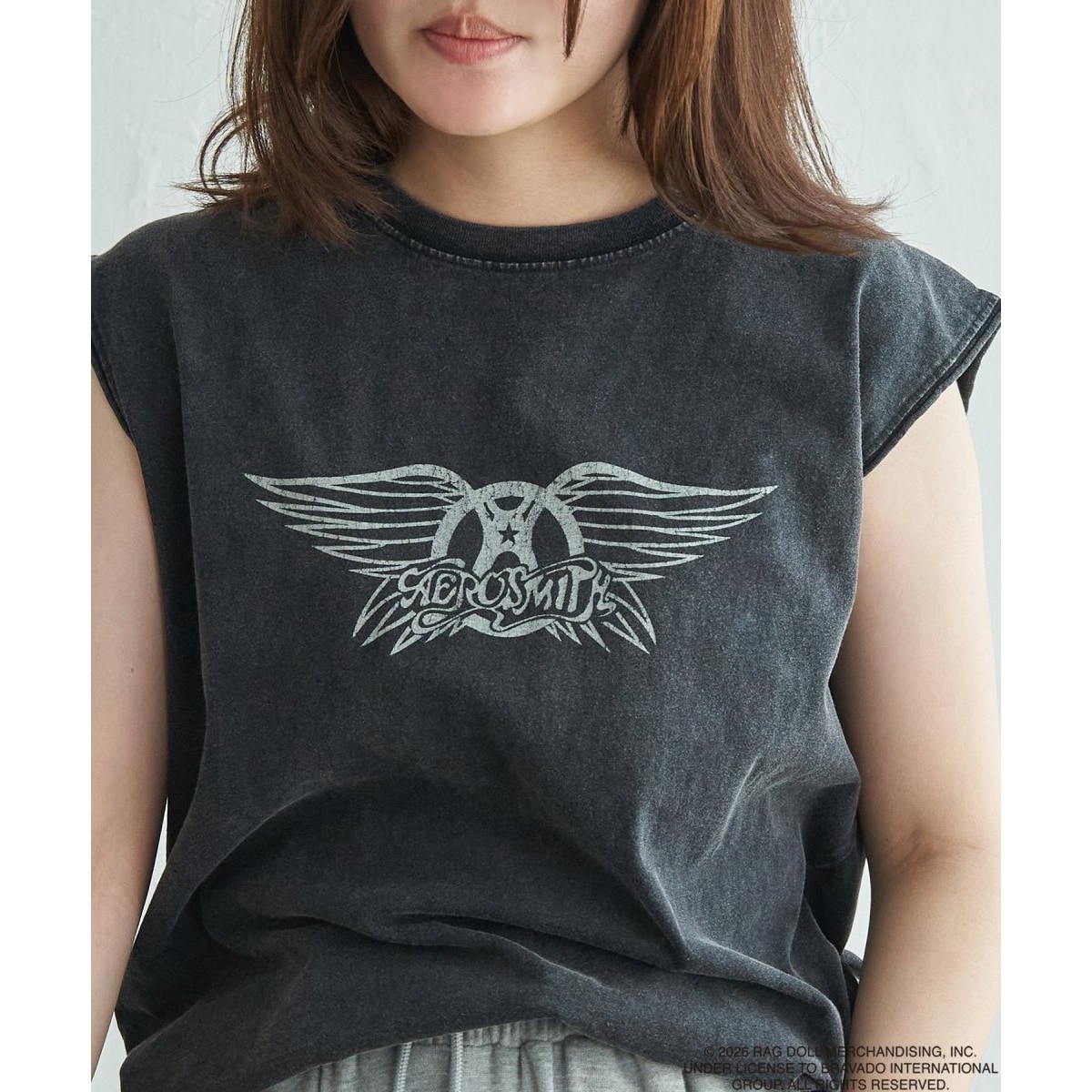「Aerosmith エアロスミス」ノースリT バンドT