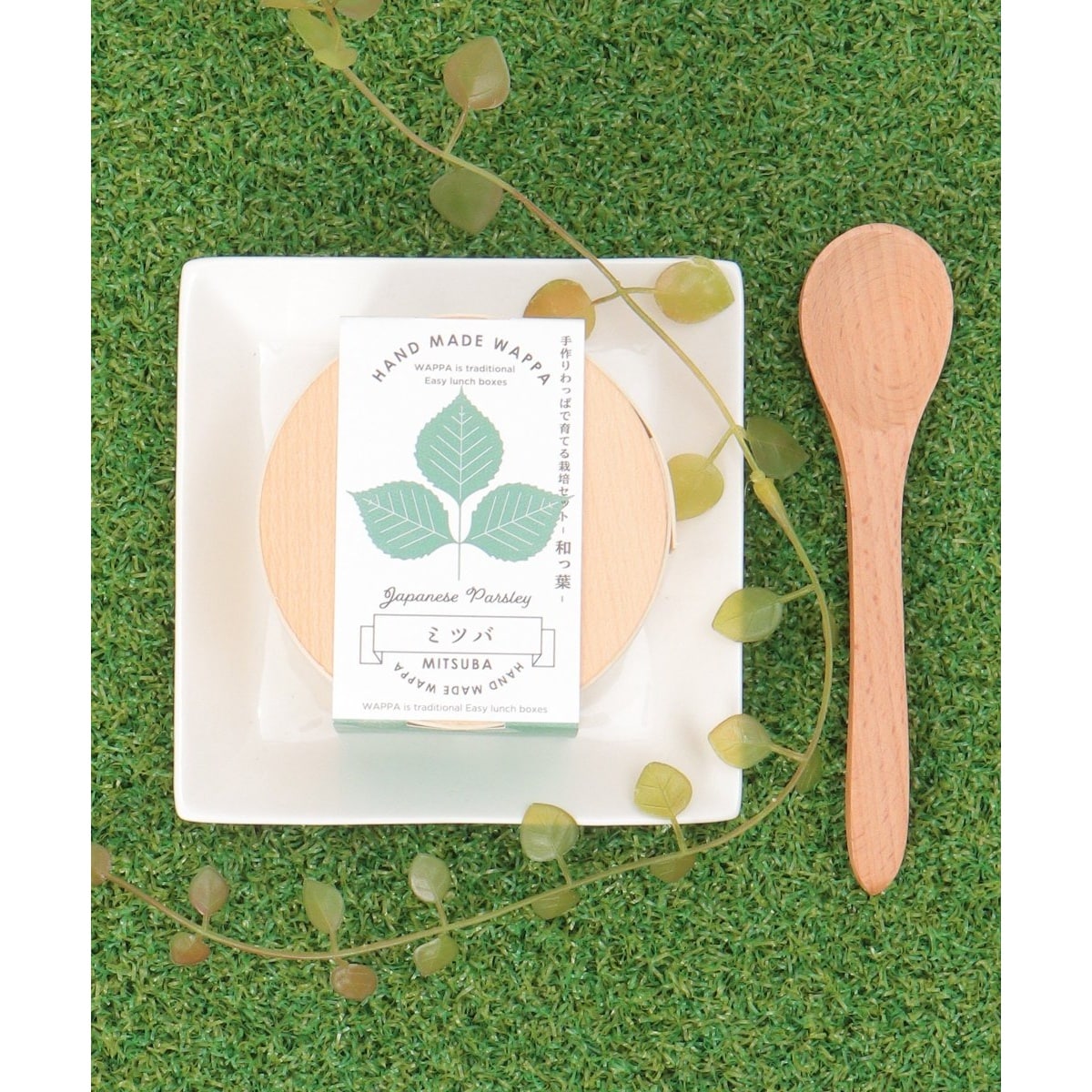 [}C]WAPPA at͔|Zbg/LBCiLBCj O[