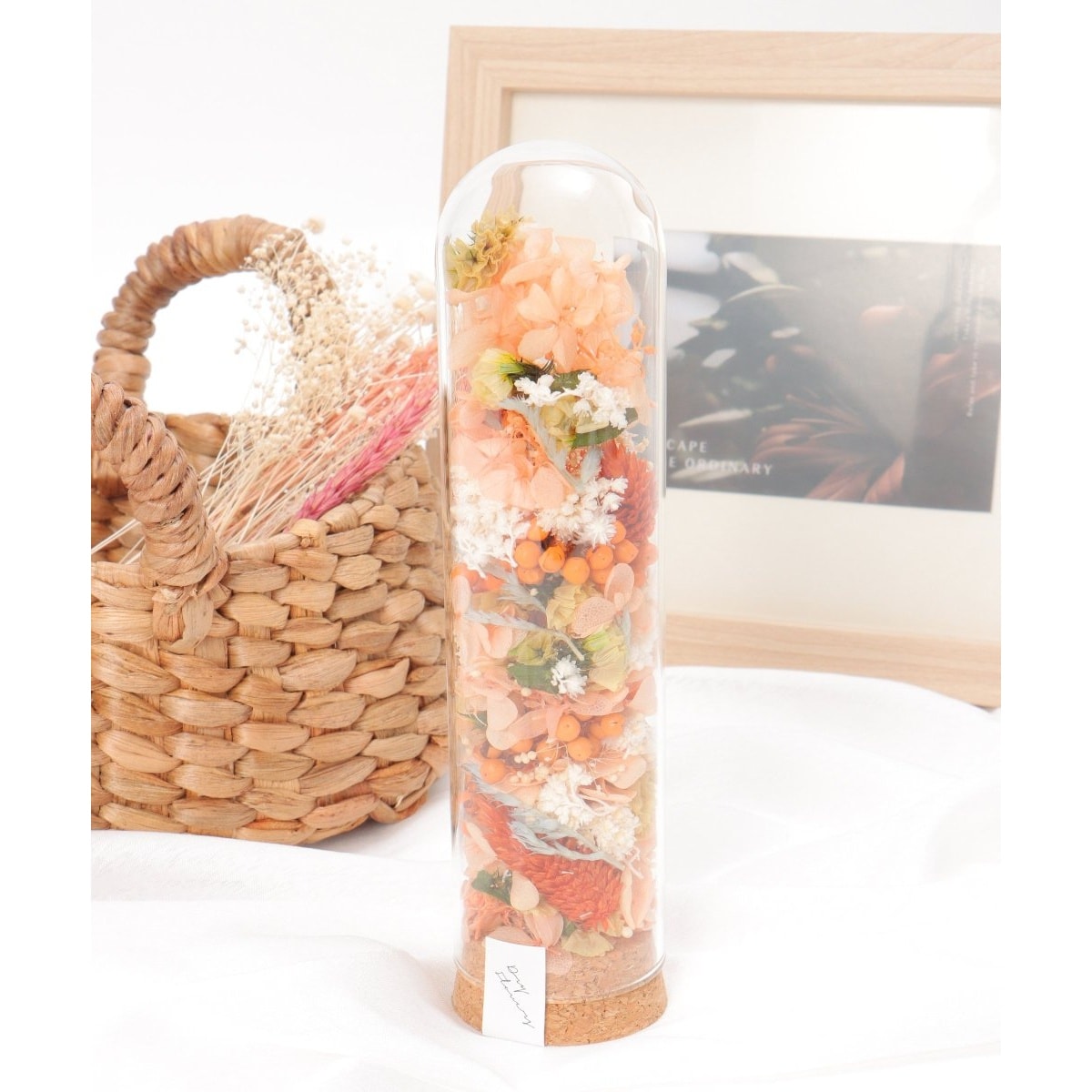 [}C]RNV_[u[AW M/LBCiLBCj IW