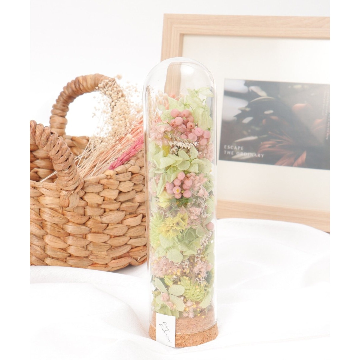 [}C]RNV_[u[AW M/LBCiLBCj O[