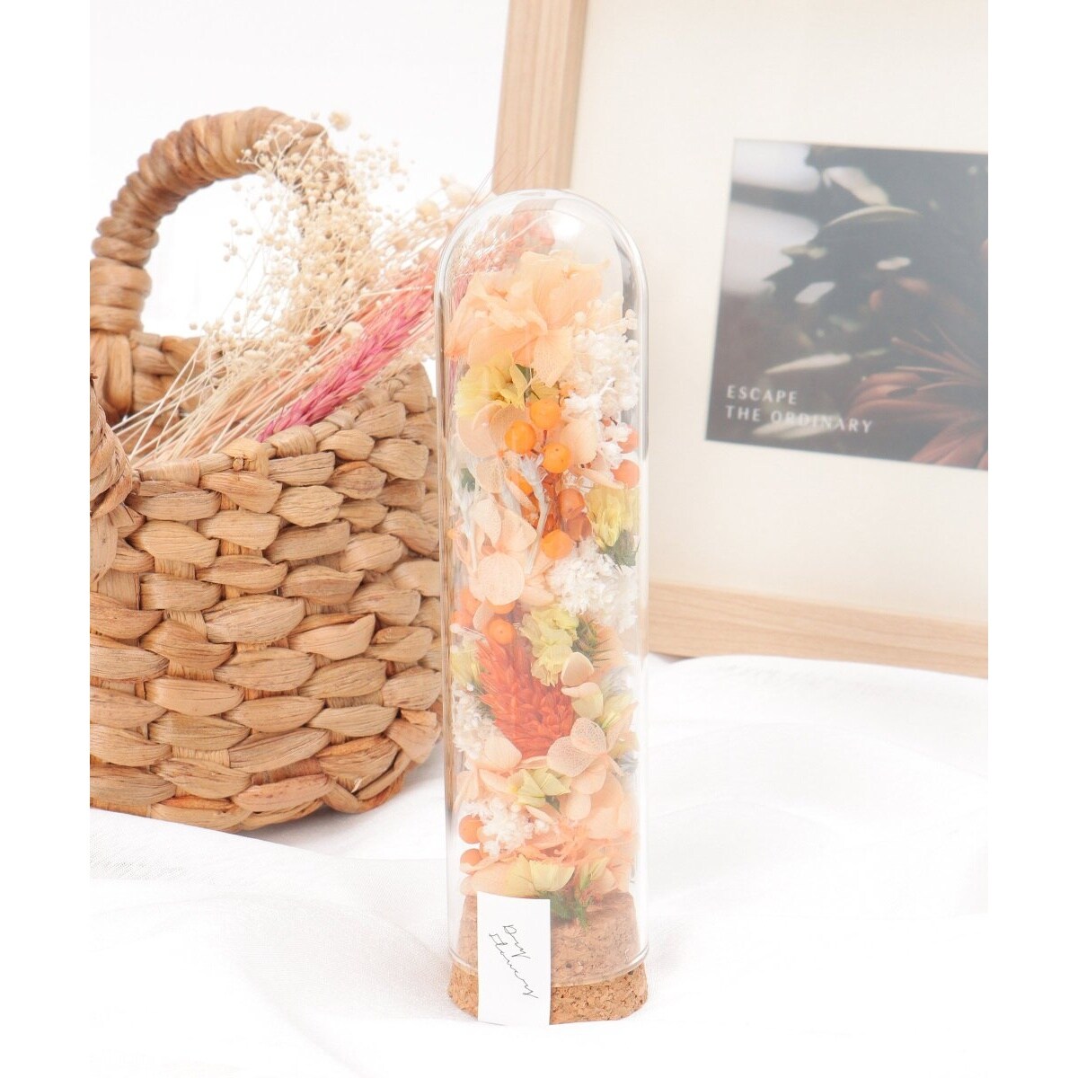 [}C]RNV_[u[AW S/LBCiLBCj IW