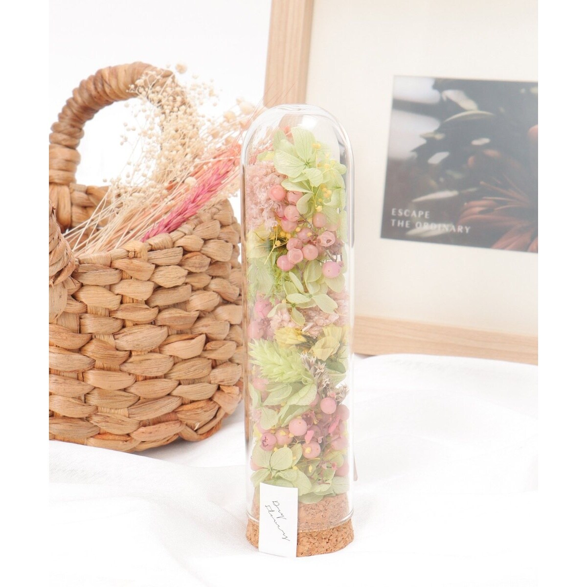 [}C]RNV_[u[AW S/LBCiLBCj O[