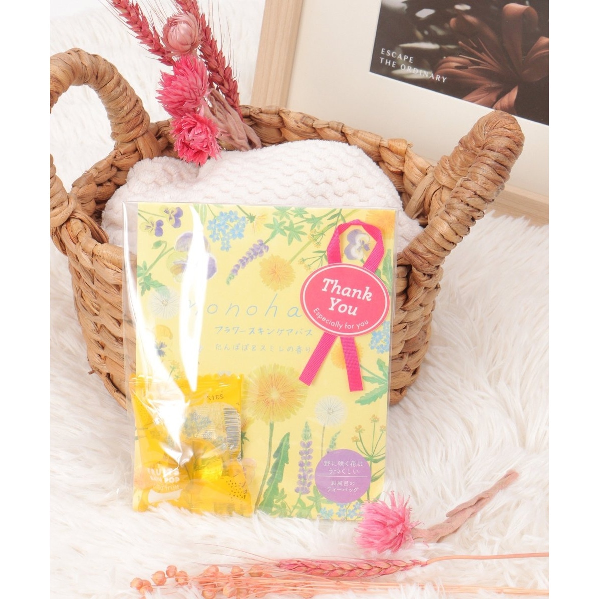 [}C]nonohana TL[oXZbg/LBCiLBCj CG[