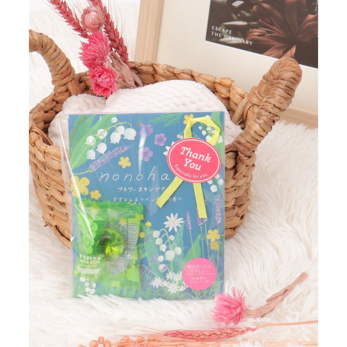 [}C]nonohana TL[oXZbg/LBCiLBCj u[