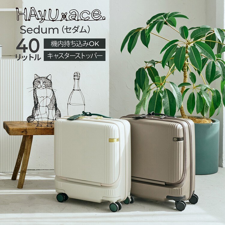 スーツケース 機内持ち込み 40L セダム 09081 ace. HAyU | ace