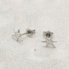 ミニスターピアス