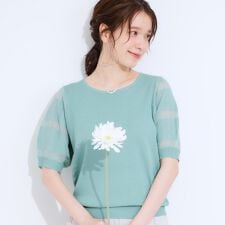 【S-LL】大人上品な お袖シアー切り替えニット