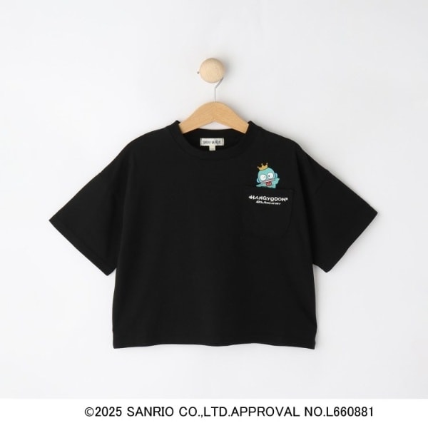 ⭐︎美品中古⭐︎DIANTE クロップドTシャツ ブラック Women's 長袖 クロップド Tシャツ BLACK LABEL SS25 ブラック