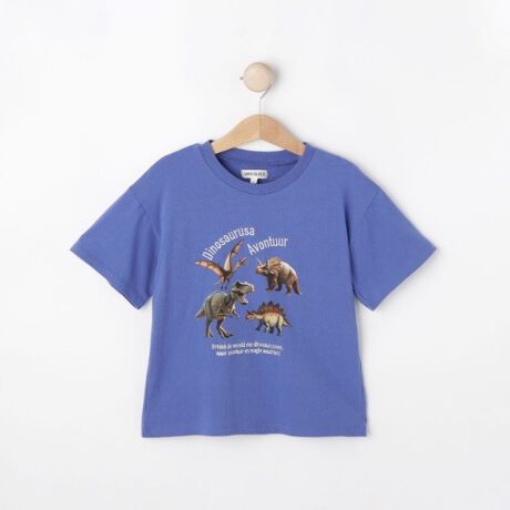 [^ԁF12213352]yfUCzAȓ]ʃvg̃`[tƁAS̎hJfUCꂽTVcłBu[ɂ͐lC̋`[tAubNɂ̓N[ȉF`[tvgĂ܂BVvȌ`TVcɃvgf1łByfށzقǂ悢̃RbgfނgpĂ܂BƖ̊֌WɂAۂFČꍇ܂B܂Ap\REX}[gtHȂǂ̊ɂA኱iƉ摜̃J[قȂꍇ܂B