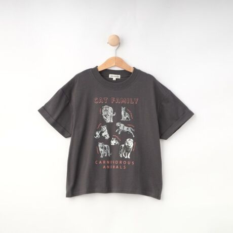 [^ԁF12213341]yfUCzĂ̒ԃvgTVcB100`120cmWJ̒j̎qvgłBҏb̎ʐ^}ӂ̂悤ɕׂꂽ`[tƁA`[t2A\[gWJłBĂgTVc͂Cɓ̃vgŖyʂ肽łˁByfށzقǂ悢̖ȍJbg\[fނgpĂ܂BƖ̊֌WɂAۂFČꍇ܂B܂Ap\REX}[gtHȂǂ̊ɂA኱iƉ摜̃J[قȂꍇ܂B