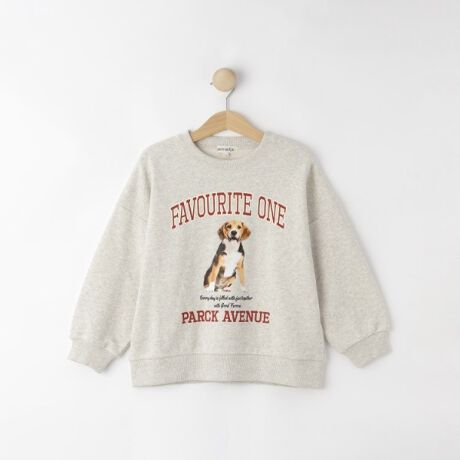 [^ԁF12214326]yfUCzx[VbNȌ`̃vgXEFbgłBjpŒpOKȃSfUCACpNĝAj}`[tȂǃJ[ƂɈقȂA\[gfUCBvg̃fB[XiWJĂ̂ŁAeqŃNR[f߂łBiC62|14301^14302jyfށz肵̖ȍёfނgpĂ܂BƖ̊֌WɂAۂFČꍇ܂B܂Ap\REX}[gtHȂǂ̊ɂA኱iƉ摜̃J[قȂꍇ܂B