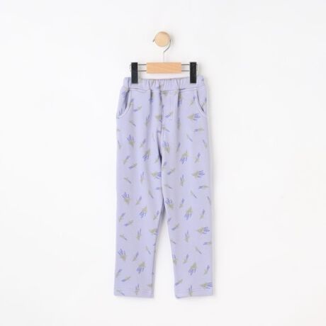 [^ԁF12264002]yfUCzVM[fނɂȂfނ̃JbgpcłB_炩fނŒʊwɂ߂̃ACeBlC̃hbgn[gt[AɉAN̓`FbJ[vX܂BR[f̃|CgɂȂ鑍pc̓NR[fɂ߂łByfށz_炩Ĝ悢VM[fނgpĂ܂BydlzE|PbgF~2 ~1EEGXgSEnȂƖ̊֌WɂAۂFČꍇ܂B܂Ap\REX}[gtHȂǂ̊ɂA኱iƉ摜̃J[قȂꍇ܂B