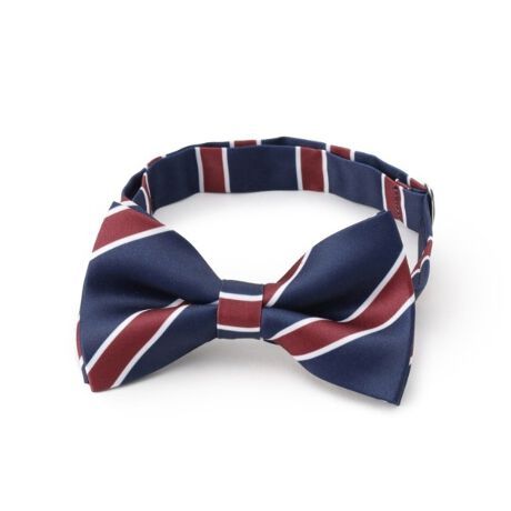 [^ԁFF6002496]wp[eB[A\Ȃǂɑ劈ԈႦȂ̃LbYTCYlN^CłBȒPɕt邩}}NI͒\AWX^[ŁATCYyBĩX^CɃlN^CvX邾ŁAl畉̃R[fBl[gɁBƖ̊֌WɂAۂFČꍇ܂B܂Ap\REX}[gtHȂǂ̊ɂA኱iƉ摜̃J[قȂꍇ܂B