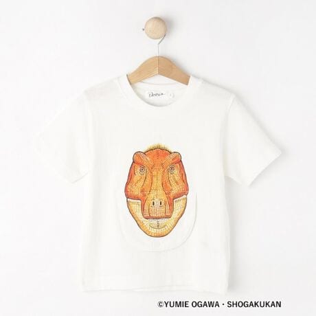 [^ԁFF6013476]yfUC|Cgzwق̐}NEO@R{u}NEO ܂ǂ񂫂傤イv̂悤ɂ߂ĕωy߂fUCByX^CO|CgzCpNĝfUCȂ̂ŁAVvȃfjV[c킹߁Byfރ|CgzRbgVgpBƖ̊֌WɂAۂFČꍇ܂B܂Ap\REX}[gtHȂǂ̊ɂA኱iƉ摜̃J[قȂꍇ܂B