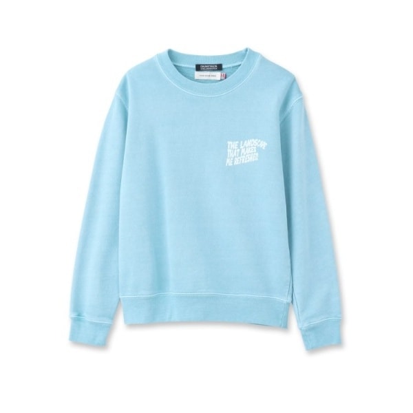 【国内正規品】 DRESSTERIOR別注】GOOD ROCK SPEED(グッドロックスピード)ミニ トップス