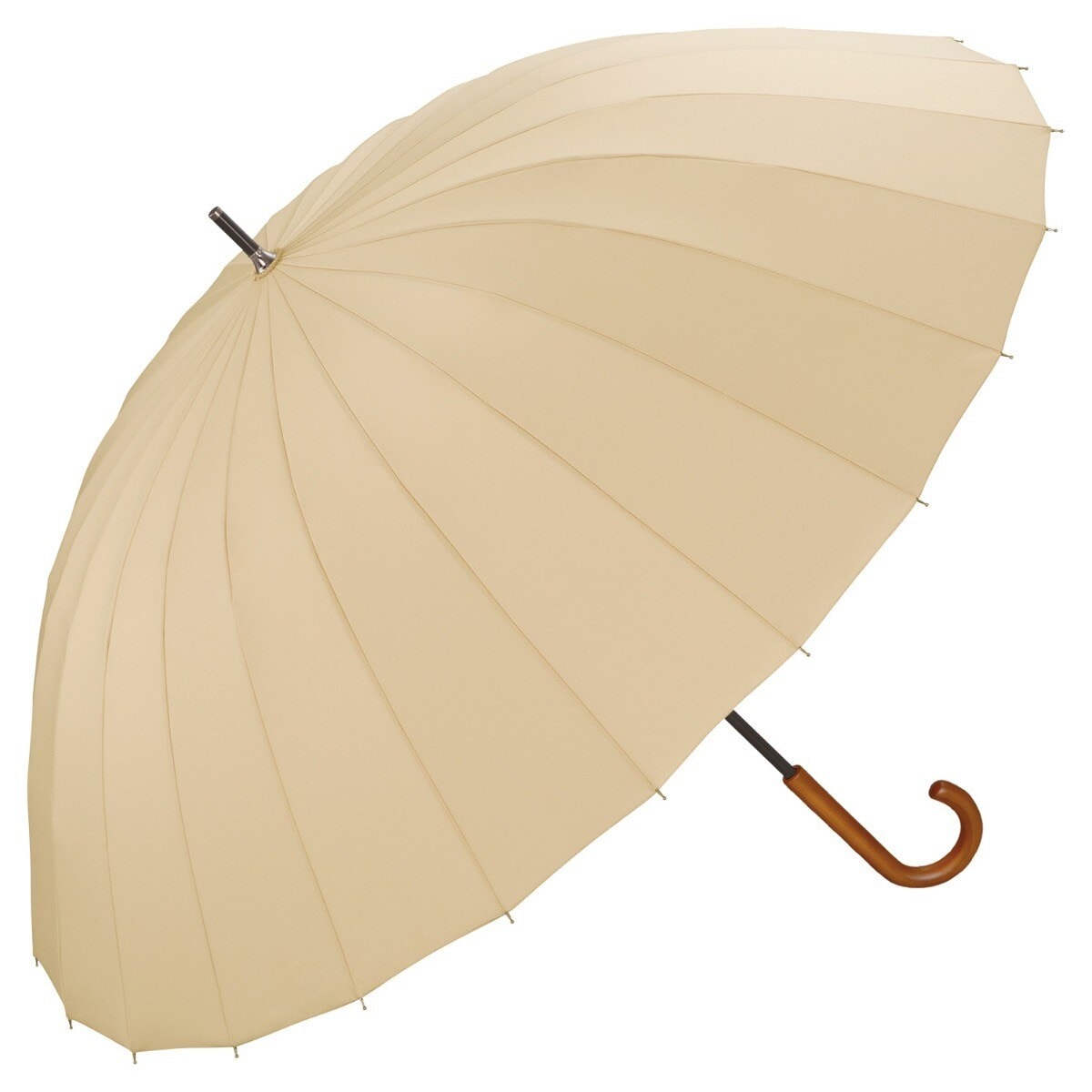 [�}���C]�yWpc.�z�J�P 24�{���A���u���� 65cm �a�P�� �傫�� ��v �����Y ���f�B�[�X ���P/Wpc.�iWPC�j �x�[�W��