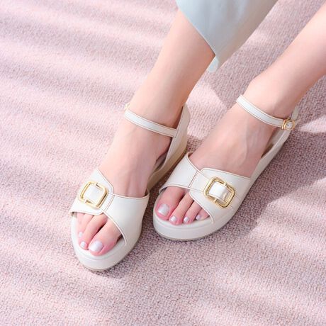 [^:S153]obNvbgtH[T_(S153)ubNAAC{[ALƂǂȃX^Cɂރx[VbNȃJ[WJpӂ܂JWAۂ}āAY߂̃X^Cɂ킹₷fUCłIyPOINTzEx[XVvȃT_ɃobNƁA肰ȂXeb`lEiőؚfUCE肵ĕ₷XgbvtEtbg4cm̌ŊyɃX^CAbvyCɓo^̂߁ziCɓo^Ɣ؂ACe̍ēגʒm₨ȏ󂯎邱Ƃł܂uĥCɓo^ŐVACȅBЂo^!