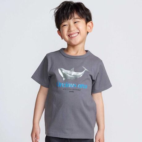 [^ԁF1115-74537]-25SS-tg̑傫ȃV`ƃCJ̃vgCpNgȔTVcBfUCy_ː{V[[hzuwȂxGfeCgفvRZvgB{B̃V`̓WEptH[}XsĂقACJ̃ptH[}XA˓C⑾mȂǂ̊Cm̓W܂BwтƗVтZAy݂Ȃwׂ_ˎs\鐅قłBptH[}XŐlC̃V`ƃCJďCŒɃCXgŕ\܂Btg̃S͌򂠂郉o[vgBwɂ͐̂̐tXŃvgĂ܂BVgpĂ̂łɂ҂TVcłBf/@\Ă̗ǂV̐ngpB΂ގɂƂSnŉĂ̂oɂXXłB80`90cmɂ͌J̃Xibv{^B͑Oҋ@֔F؍ςłB25t j̎qE̎qACey2025Nt V[Ye[}z-̂悤-ɐ Sn悢B ȕ̂悤 y₩ɔwĂt@bVBɏ mȂE𔭌ɍsByBeBe(ׂ)zhLOVE MODERNh ܂ŁAӋCȃ[sAJWA̒āB㐫sƂ炦Ax[VbNł|Cg{VѐSAy𐷂荞ł܂BVvǁÂIWieB[dĂ܂B