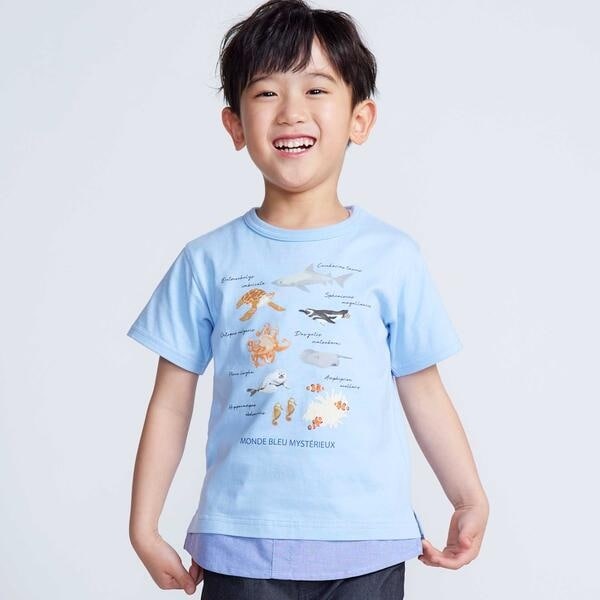 [�}���C]�y ���� �z�y�_�ː{���V�[���[���h×BeBe�z�s�v�c�Ȑ����E �C�̐������̔���T�V���c(80~14/�x�x�iBeBe�j �u���[