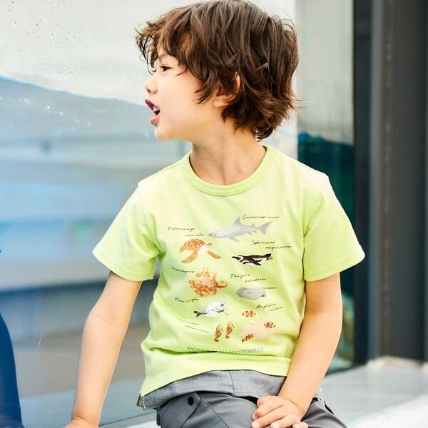 [�}���C]�y ���� �z�y�_�ː{���V�[���[���h×BeBe�z�s�v�c�Ȑ����E �C�̐������̔���T�V���c(80~14/�x�x�iBeBe�j �O���[��