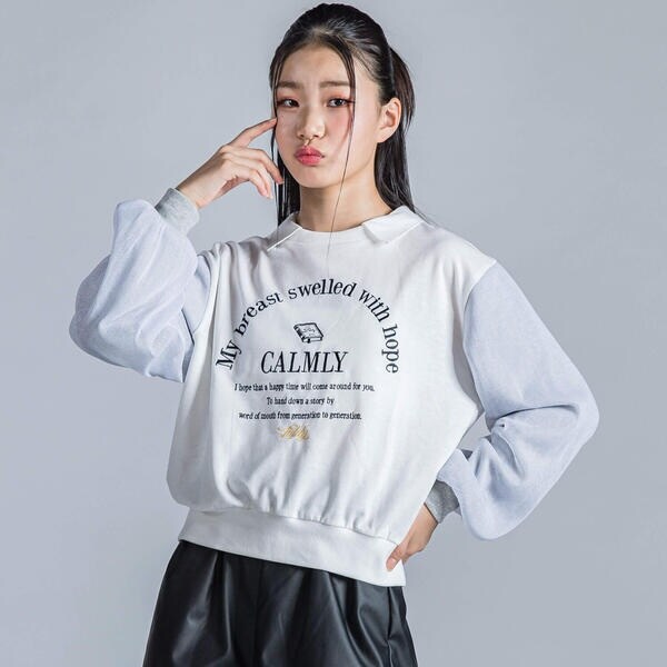 ce017-30418-01b.jpg?basethum=225