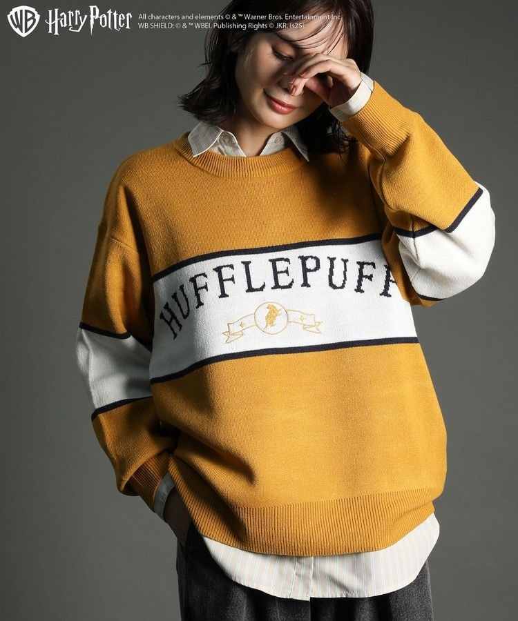 ハリー・ポッター／ジャガードラインニット | グリーンパークス(Green