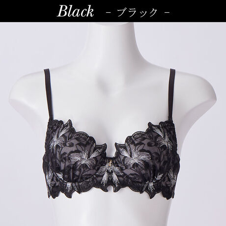 [^:51032]S̉ԂɃ̉Ԑc킹āALLi[`Fj mł̓́ũV{vƂĂA}ȀےƂĒmĂ܂B FWJ͍MȃCƃubNAgh̏HFJ[̃}X^[ĥRFWJB 