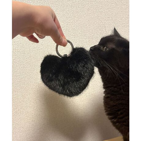 ӂӂn[g|[``[ŁA@\ЂƂɁyfUCzEiƉ炵n[g^EڂGSnt@[`[Ev[gɂ҂EobO⌮ɂ邾Ŗڂ䂭R[fBl[gɁy@\zEʂɃt@Xi[|PbgtEEȒPȃJridlyfށzEӂӂȐGSñtFCNt@[yXybNzEO|PbgF1EdʁF30gyBRANDzTESEL /eB[GXGu炵vƁufC[[XvL[[hɁA炵IV̂DȏɌuhBقǂ悭gh~bNXAɎ₷iŒāBHappyȋCłołobO͂܂ByATTENTIONz摜̏i̓TvłBۂ̏iƐFAdlAHATCYAfޓ኱قȂꍇ܂BE摜̏i͌̏Ǝ˂pxɂAƐFقȂꍇ܂B܂\̃TCYƎ͎኱قȂꍇ܂̂ŁA\߂B[^:1251-703-1]